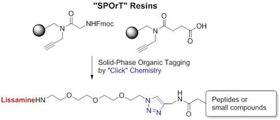 Graphical abstract : Solid-phase organic tagging resins for labeling biomolecules by 1,3-dipolar cycloaddition: application to the synthesis of a fluorescent non-peptidic vasopressin receptor ligand