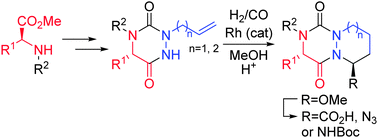 Graphical abstract : Diastereoselective Synthesis of Novel Aza-diketopiperazines via a Domino Cyclohydrocarbonylation/Addition Process